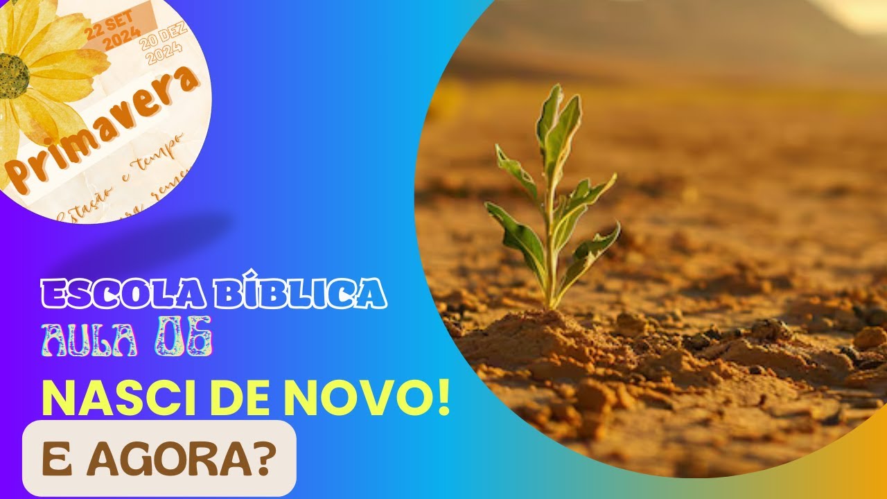 Nasci de Novo! E Agora? - Aula 06