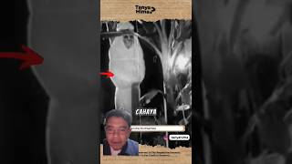 Download lagu Pohon pisang🥶 #misteri #hantu #halloween #mistis #pocong #ghostmalam #scary #remix #ceritamalam mp3 Download lagu Pohon pisang🥶 #misteri #hantu #halloween #mistis #pocong #ghostmalam #scary #remix #ceritamalam mp3