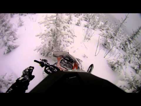 Ski doo vs trees, and lots of them.