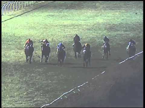 Galoppo 23/01/2015 - 6° corsa