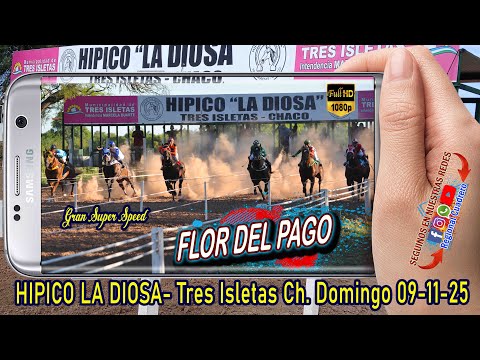 FLOR DEL PAGO- Gp Super Speed- Hipico la Diosa, Tres isletas Ch. 09.11.25