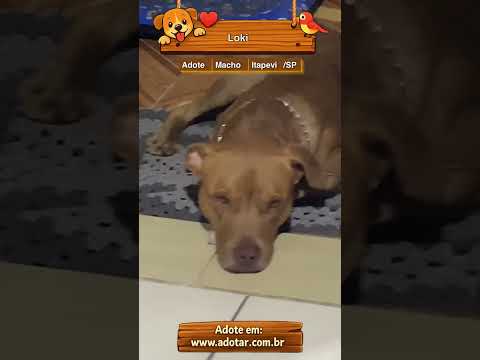 Vídeo de Loki