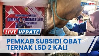 Terjangkit LSD dan PMK, Pemerintah Kabupaten Sragen Beri Subsidi Pengobatan Ternak Sebanyak Dua Kali