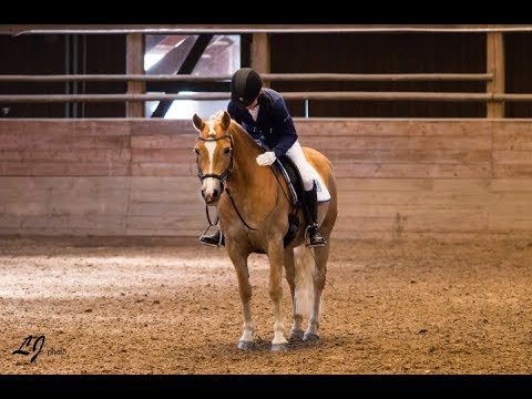 Niki räumt ab?! [1. Mai WBO]