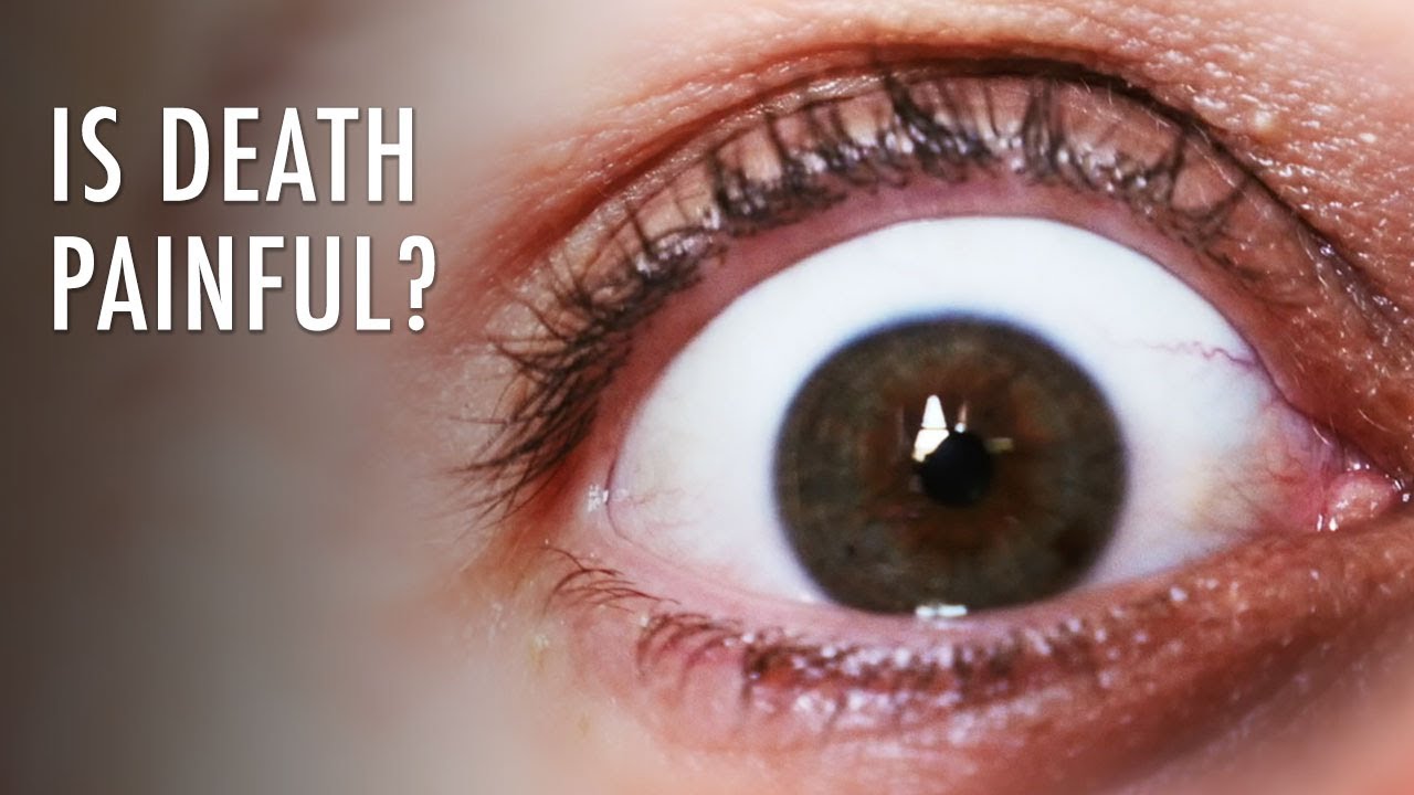 Does Dying Hurt? | Unveiled