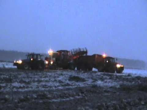 Loonw. Vermeulen-Vandoorne - Oostnieuwkerke