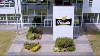Florette se forme à l'analyse des accidents de travail
