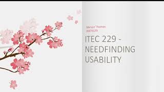 HCI Assignment 1 - Needfinding/Usability