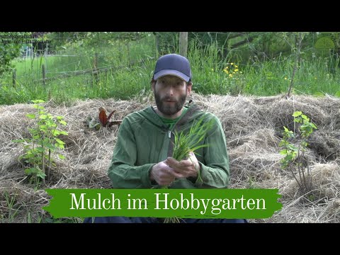 Mulch im Hobbygarten | Einsatz und Mulcharten | Kurze Wege für den Klimaschutz | Weltgarten Tunsel