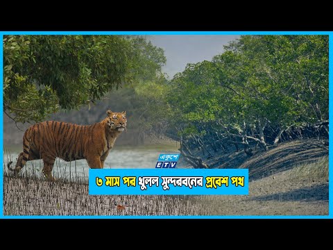 ৩ মাসের নিষেধাজ্ঞায় সমৃদ্ধ হয়েছে সুন্দরবনের প্রাণী ও বনজ সম্পদ