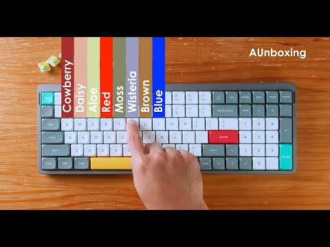 NuPhy Air96 V2 | Switch Test | ASMR @nuphystudio