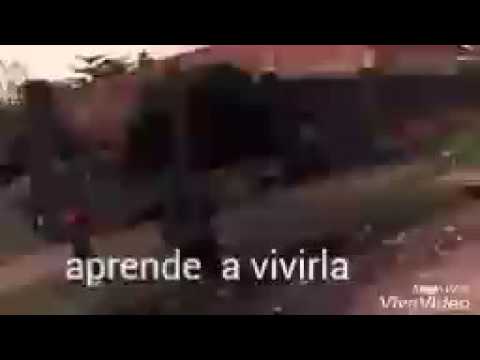 Aprende a vivir la vida
