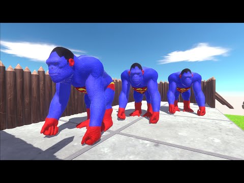 3X SUPERMAN GORO DEATH RUN   Animal Revolt Battle Simulation