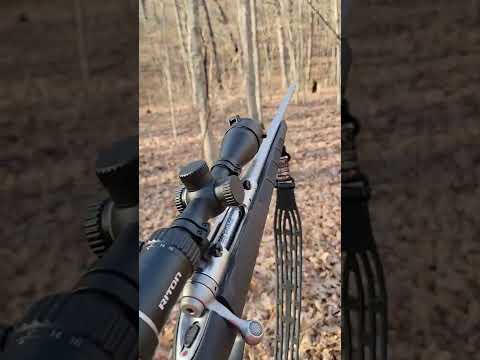 Savage Arms Model 2 in 243 Rifle Review