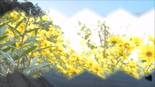 Yes- It Will Be A Good Day HQ