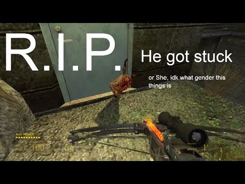 Half-Life 2 Headcrab gets stuck in door