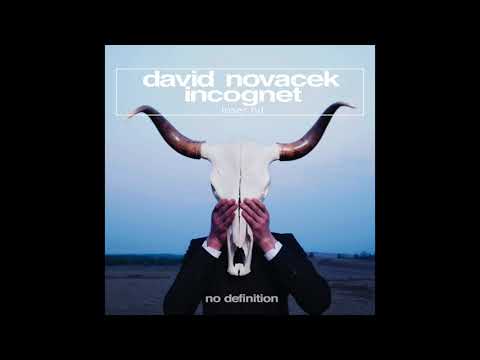 DAVID NOVACEK & INCOGNET- Loser Hit (Original Mix)