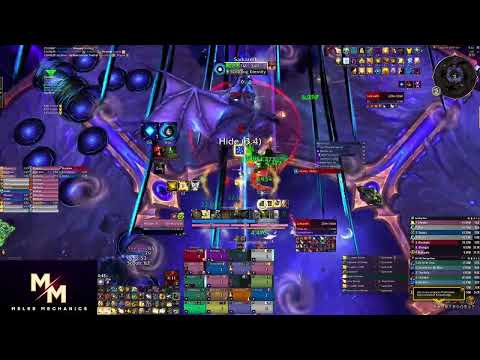 Mythic Sarkareth | Holy Paladin PoV | Melee Mechanics