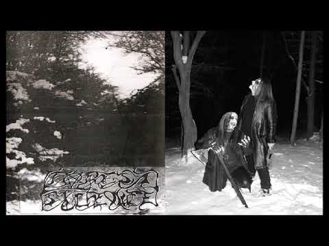 Forest Silence [HUN] [Dark Ambient] 1997 - The Third Winter (Full Demo)