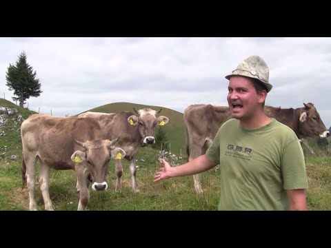 Bärlauch Buaba - Liad vom Allgäu