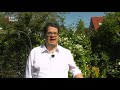 VVD-fractievoorzitter reageert op vertrek Van Zanen [RTV Utrecht]