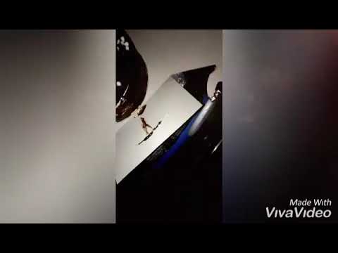 Naeem Bhai Ka Birthday