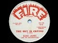 ELMORE JAMES   The Sky Is Crying