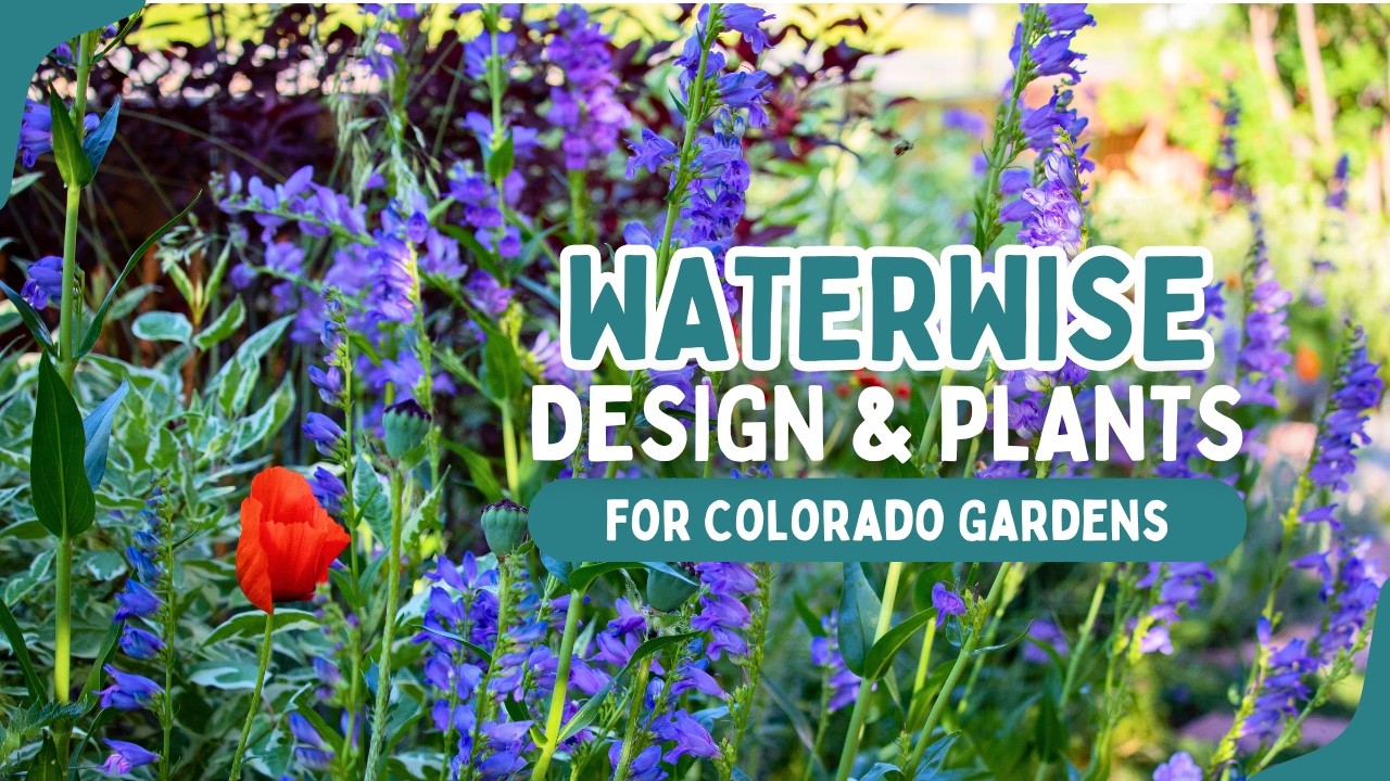 Waterwise Design Principles and Plant Selection