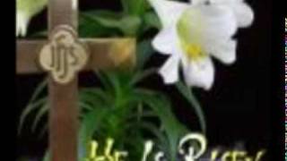 Do You Really Love Him???