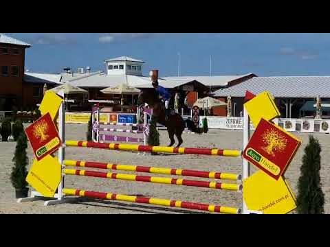 Coldwater (Carambole x Colandro) 2019/09/06 I półfinał SCMK Olsza - 115cm I SPRZEDANY / SOLD