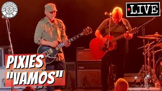 Pixies "Vamos" LIVE