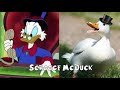 DuckTales The Movie Characters In Real Life 2023