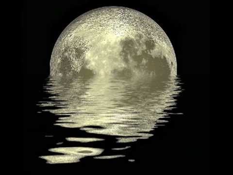 Carlo Resoort - Lifetime 4 Strings Remix.