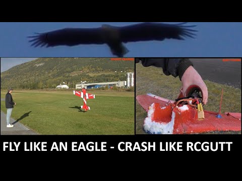 Trex 450 Crash - Stryker F27 6s EDF Crash - Crazy RC pilots - RCskywing Extra maiden - Edge 540