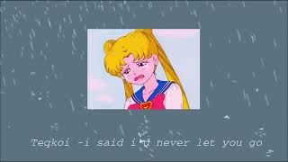 Teqkoi - i said i&#39;d never let you go