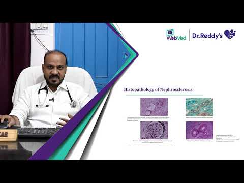Hypertensive Kidney Diseases: An Insight
