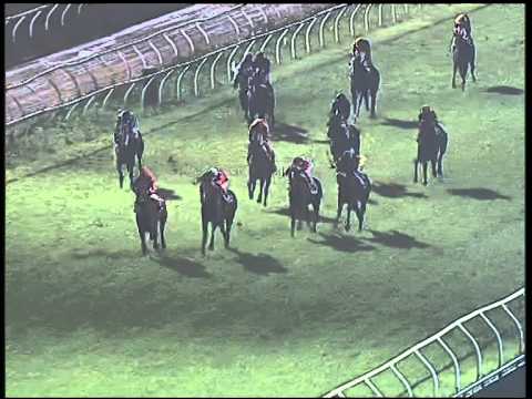 Galoppo 05/12/2014 - 6° corsa - TRIS