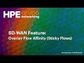 SD WAN Feature Overlay Flow Affinity Sticky Flows