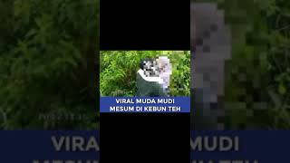 Download lagu Heboh,sepasang muda mudi mesum di kebun teh#shorts mp3