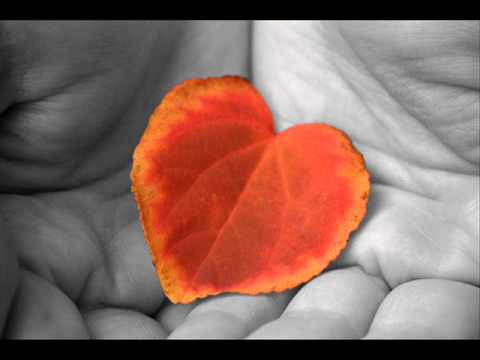 ReaLizM/Stromy - Prosto z życia