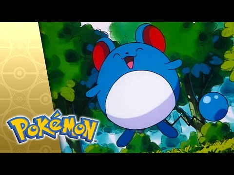 For Crying Out Loud! | POKÉMON FULL EPISODE 16 | Season 3