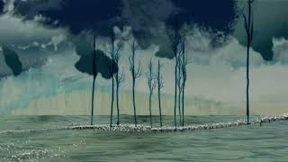 Camera Obscura - New Years Resolution (Official Audio)