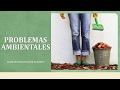 Environmental Problems Examples