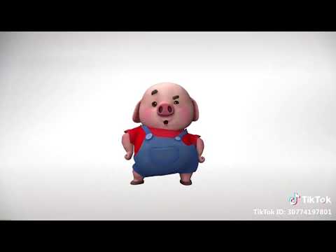 កូនជ្រូករាំ