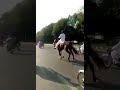 Labiek Labiek YaRusoolallah SAW Sheer Tlp