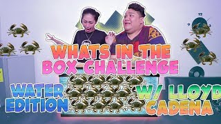 WHAT&#39;S IN THE BOX CHALLENGE *WATER EDITION FT. LLOYD CADENA | ZEINAB HARAKE