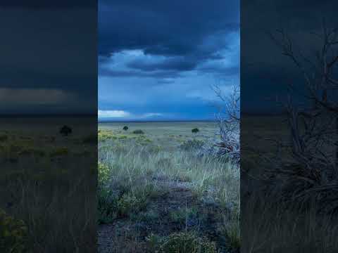 How the Great Plains Became America’s Breadbasket