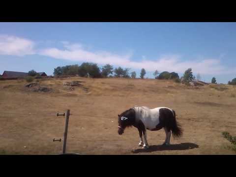 Cykeltur i Stafsinge, Högen