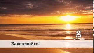 ЧАЙ GRACE! ГРЕЙС!  ГРЭЙС! Життя яскраве! Дивись! Песня   MIIA   Celebrate Your Life