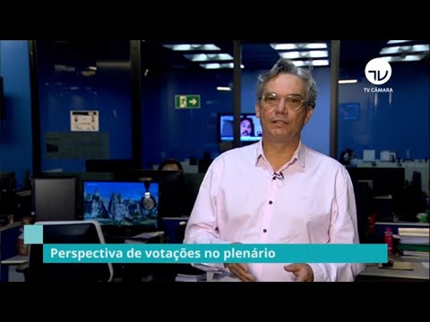 Agenda do Plenário - Veja o que pode ser votado esta semana - 14/11/2021